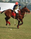 Polo playing in Kolkata-India