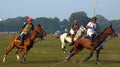 Polo playing in Kolkata-India