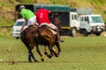 Polo Ponies Players Action