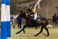 Polo Rider Pony Ball Goals Action