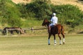 Polo Rider Horse Field
