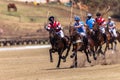 Polo Riders Horses Play Action