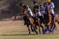 Polo Riders Horses Play Action Royalty Free Stock Photo