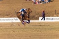 Polo Riders Horses Play Action Royalty Free Stock Photo