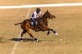 Polo Riders Horses Play Action Royalty Free Stock Photo