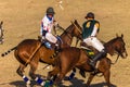 Polo Riders Horses Play Action Royalty Free Stock Photo