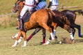 Polo Riders Horses Unidentified Game Action Royalty Free Stock Photo