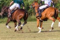 Polo Riders Horses Unidentified Game Action