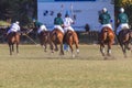 Polo Riders Horses Game Action