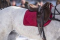 Polo saddle Royalty Free Stock Photo