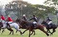 Polo team in Brazil playing Royalty Free Stock Photo