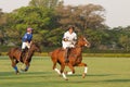 Polo tournament Royalty Free Stock Photo