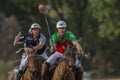 Polocrosse Equestrian Riders Action