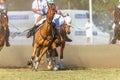 Equestrian Polocrosse Game Closeup Action Royalty Free Stock Photo