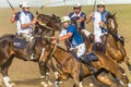 Equestrian Polocrosse Game Closeup Action Royalty Free Stock Photo