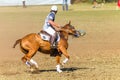 Equestrian Polocrosse Game Closeup Action Royalty Free Stock Photo