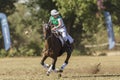 PoloCrosse Horse Rider Women Ireland