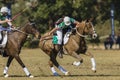 PoloCrosse Horse Riders Women Action