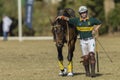 PoloCrosse Horse Women Action