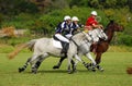 Polocrosse players on their horses