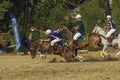 PoloCrosse World-Cup Horse Slips Action