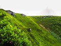 Polonyna Runa, Transcarpathian region. Mountains in spring and summer. Green hills and blue sky. Rocks and ruins in nature. Royalty Free Stock Photo