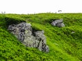 Polonyna Runa, Transcarpathian region. Mountains in spring and summer. Green hills and blue sky. Rocks and ruins in nature. Royalty Free Stock Photo