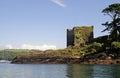 Polruan Castle Royalty Free Stock Photo