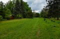 Poltava, Ukraine - 11 June, 2021: Green meadows and trees in the park in summer afternoon