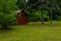 Poltava, Ukraine - 11 June, 2021: Green meadows and trees in the park in summer afternoon