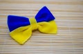 Poltava, Ukraine - 27 November, 2022: A bow made of blue-yellow fabric as the flag of Ukraine on a bamboo background