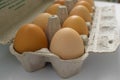 Poltava, Ukraine - October 19, 2022: Brown eggs in an open cardboard box on a white background Royalty Free Stock Photo