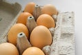 Poltava, Ukraine - October 19, 2022: Brown eggs in an open cardboard box on a white background Royalty Free Stock Photo