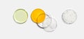 Poly Aluminium chloride liquid, Shower cream, Microcrystalline and Cetyl esters wax in Petri dish on white laboratory table.