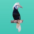 Poly low white-crowned hornbill, polygon bird, vector