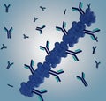 Poly Protein G with Detection Antibodies to enhance Immunoassays sensitivity