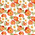 Polyanthus roses seamless pattern, watercolor illustration, background Royalty Free Stock Photo