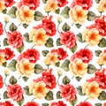 Polyanthus roses seamless pattern, watercolor illustration, background