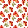 Polyanthus roses seamless pattern, watercolor illustration, background Royalty Free Stock Photo