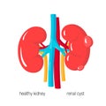 Polycystic kidney disease vector