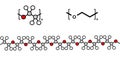 Polyethylene glycol PEG molecule, chemical structure. Forms of PEG are used as laxatives, etc. Multiple representations.