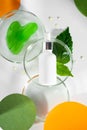 Polyglutamic acid, for deep hydration and facial skin care. Petri dishes with green leaf and water. Background with Royalty Free Stock Photo