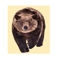 Polygon brown wild vector bear