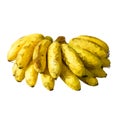 Polygon banana