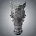 Polygon black-and-white drawing of a horse`s head Royalty Free Stock Photo