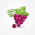 Polygon bunch of grapes, illustration.