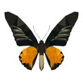 Polygon butterfly, poly low animal, polygonal geometric triangle