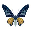 Polygon butterfly with white line, poly low animal, polygonal