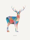 Polygon deer. Low poly animal logotype. Colorful geometric logo icon