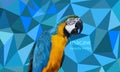 Polygon Graphics Blue and yellow macaw parrot